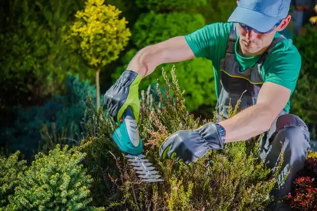 landscaping services Village of the Branch